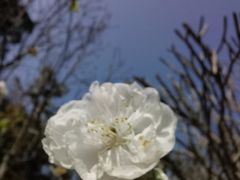 -桃花涧
