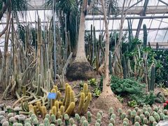 -南山植物园