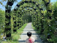 -福建鲤鱼洲酒店