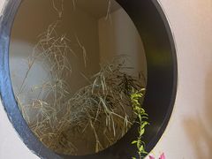 -江南雅厨(李公堤店)