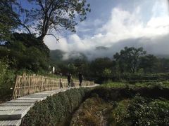 -塔川景区