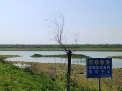 -杏花村文化旅游区