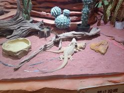 -Zoolung Zoolung动物主题公园(海信广场店)