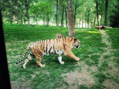 -北京野生动物园