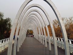 -大兴滨河森林公园