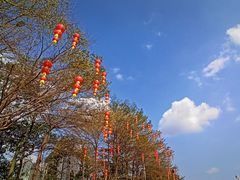 -海心沙亚运公园