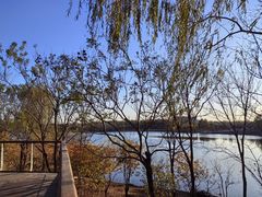 -东郊湿地公园