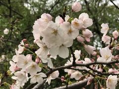 -苏州上方山国家森林公园