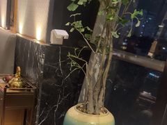 -陶陶居酒家(SM二期购物广场店)