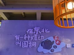 -挂雪铁锅炖大鹅