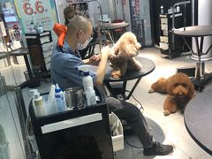 -宠物家(角门东店)