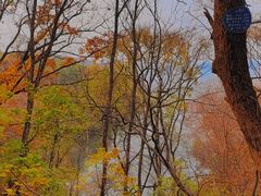 -萨尔浒风景区