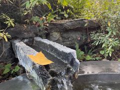 -和顺柏联温泉