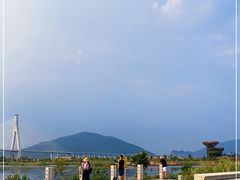 -芒洲湿地公园