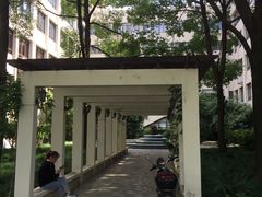 -上海市浦东外事服务学校