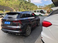 -西双版纳原始森林公园