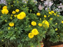 -郑州方特梦幻王国