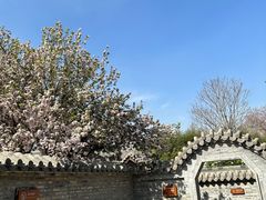 -青州古城