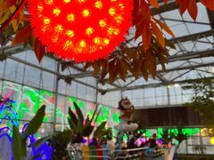 -南宫五洲植物乐园