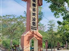 -海南槟榔谷黎苗文化旅游区