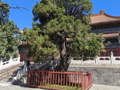 -北京国子监胡同