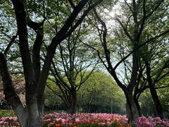 -白塘生态植物园