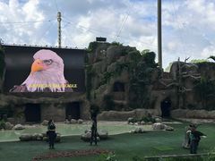 -新加坡飞禽公园
