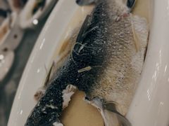 盐油蒸吊水鲩-富盛囍宴大酒楼(新都汇购物广场店)