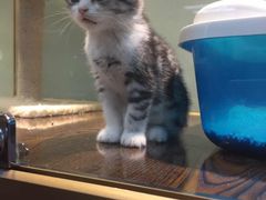 -乐宠宠物店(世纪金源店)