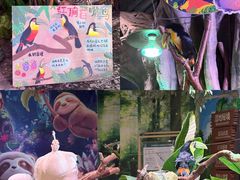 -正佳雨林生态植物园