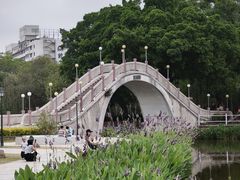 -金砂公园