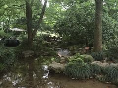 -中国茶叶博物馆(双峰馆区)