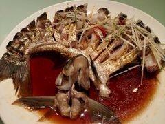 -楚灶王(徐东店)