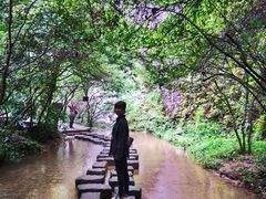 -九曲溪竹筏码头