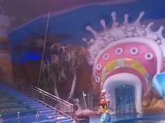 -烟台海昌鲸鲨海洋公园