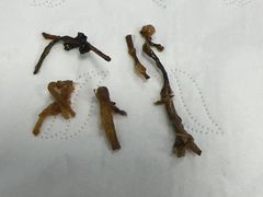 -陈妈妈的店-下沙灌汤烧卖(新场大街店)