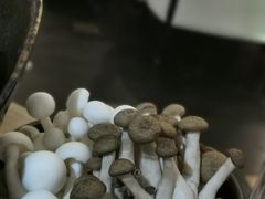 小菇双拼-新草堂锅物料理(泉城路店)