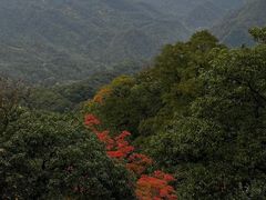 -青城山
