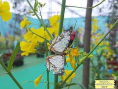 -玻璃桥景区石牛寨