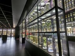 -广东中医药博物馆