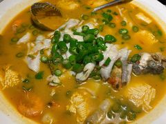 鲜椒豆花鲈鱼-川味堂·四川豆花(八卦岭店)