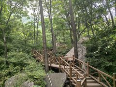 -大岭沟猕猴桃谷风景区