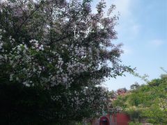 -泰山风景名胜区