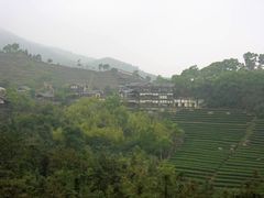 -东部华侨城