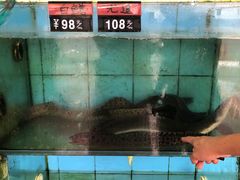 水产区-双月饭店·20年老字号(新村店)