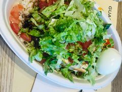 -油梨树AVOCADO TREE(望京店)