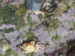 -大连金石滩国家旅游度假区