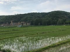 -南泥湾风景区