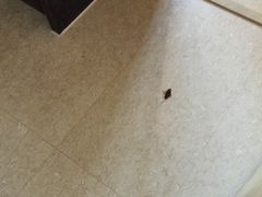 -深圳雅邦朗悦国际酒店