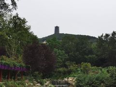 -大伊山景区